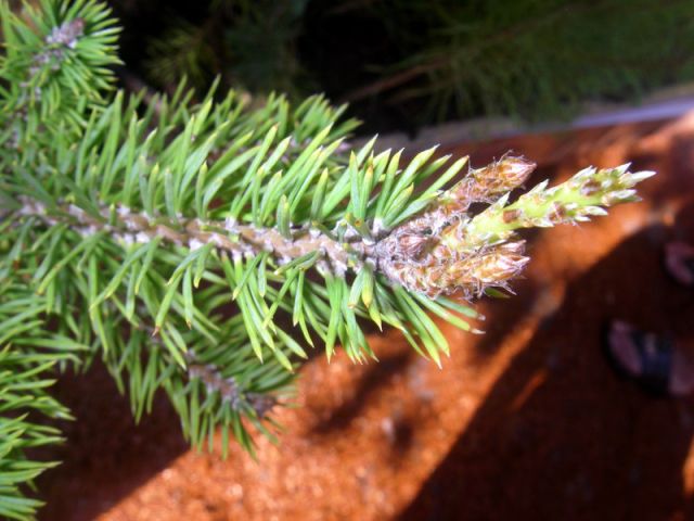 2010 05 24 jeanmarcperfetti.com 016.JPG